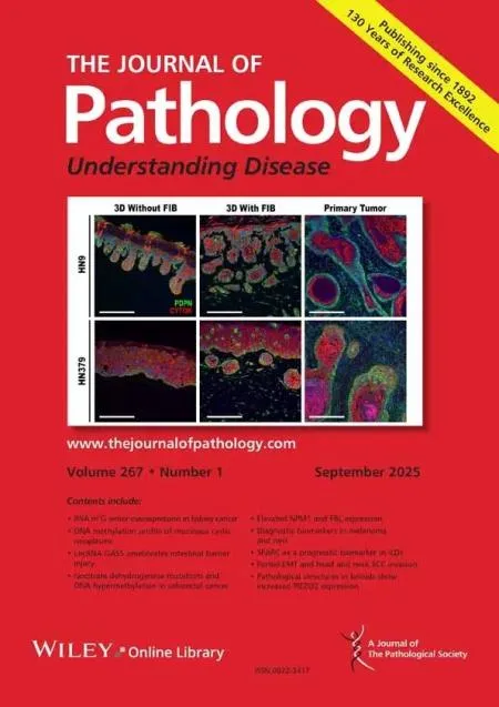 The Journal of Pathology
